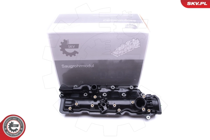 Intake Manifold Module